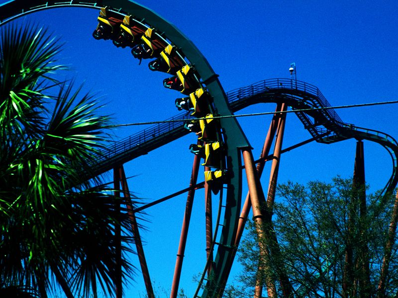 A roller coaster with yellow cars climbs a steep curve against a bright blue sky, surrounded by palm trees and other foliage.