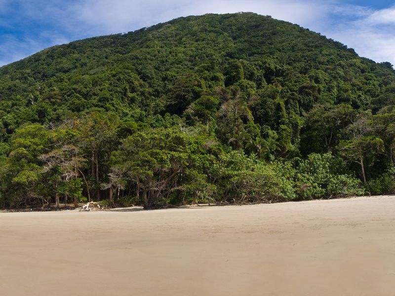 Panoramic view of a secluded beach with rainforest on a hillside, turquoise waters, and clear blue sky.