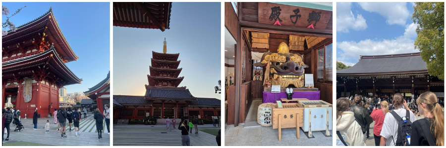 discovering-japan-with-korumburra10-1.png