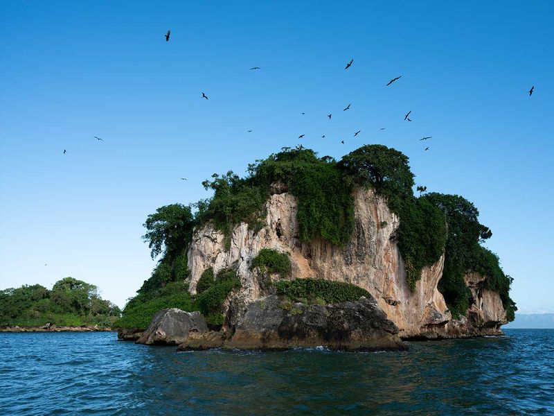 Rocky island with lush vegetation and birds flying overhead in the Dominican Republic