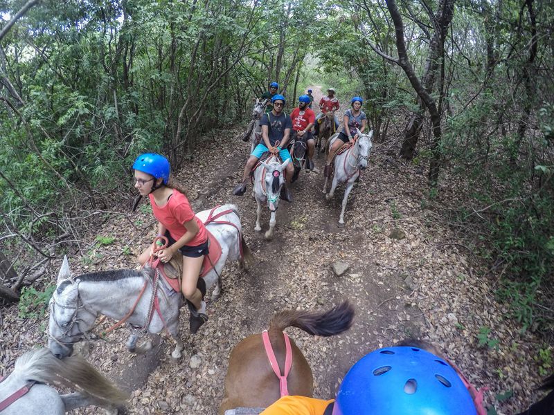 A group of horseback riders enjoying a scenic trail ride through a lush forest.