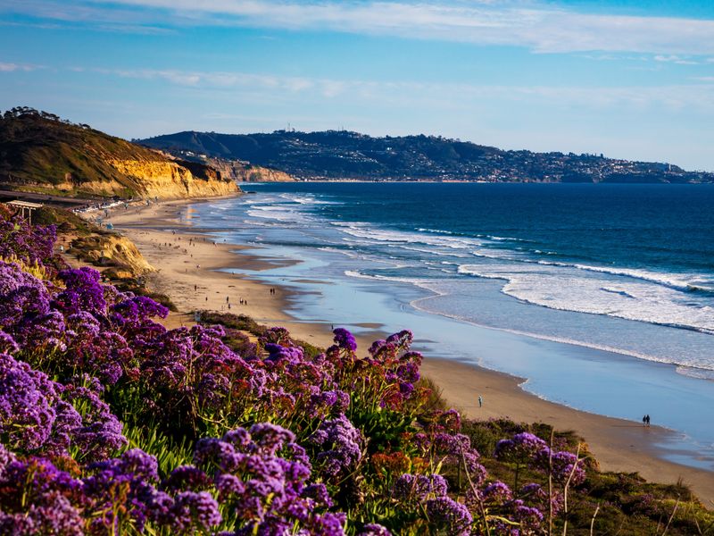 Scenic beach view with purple flowers