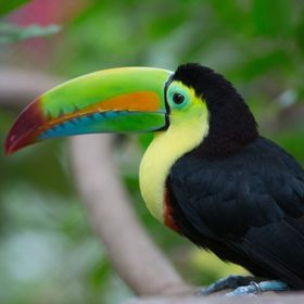 10 Interesting Facts about Costa Rica