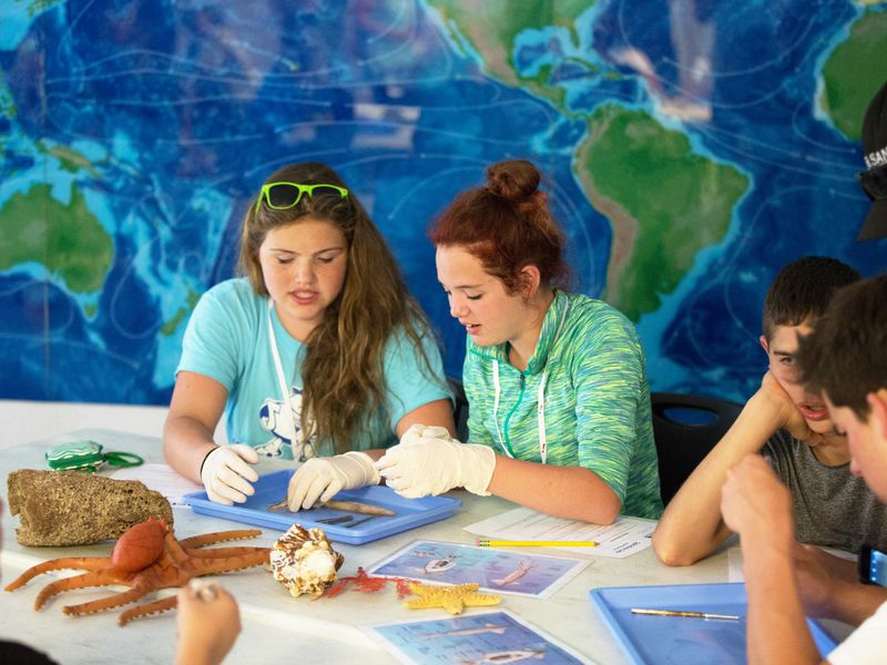 Teenagers engaging in a marine biology dissection activity, exploring the wonders of ocean life.