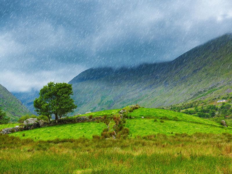 Rain falling on a green field in the Irish countryside.