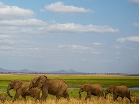 Leadership and Community Engagement in Tanzania