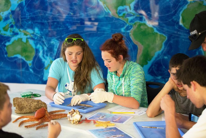 Teenagers engaging in a marine biology dissection activity, exploring the wonders of ocean life.