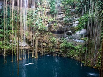 Person swimming in a cenote in Mexico