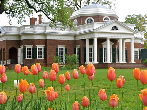 Monticello in Bloom