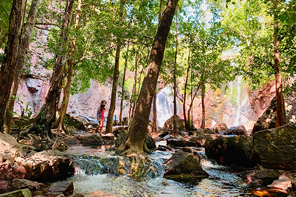 Wangi-Falls-Litchfield.jpg