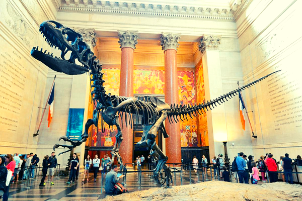 American-Museum-of-natural-history-NYC.png