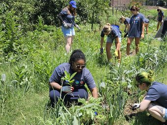 Group of young adult volunteers working in a community garden.