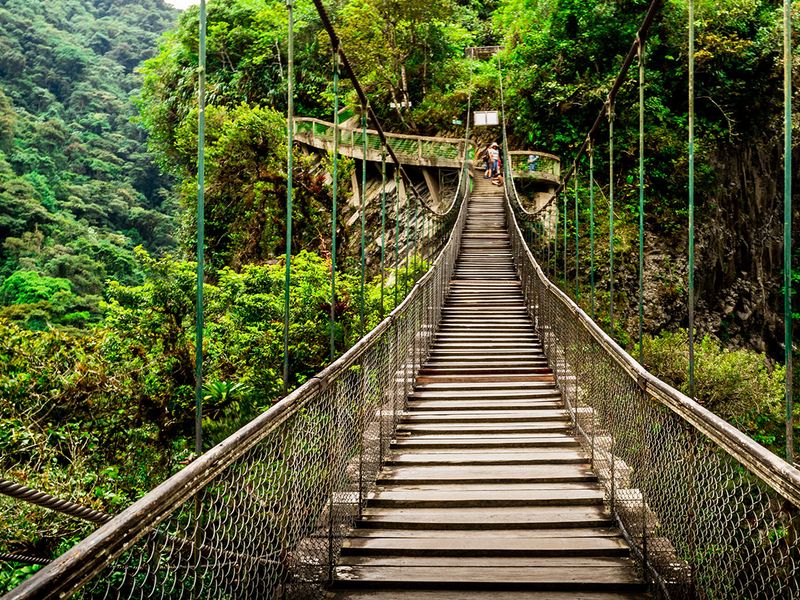 A long suspension bridge with an adult and child crossing it in a tropical forest.