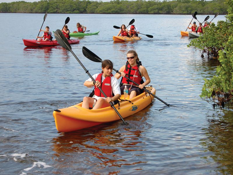 Group kayaking through mangroves in the Florida Everglades.