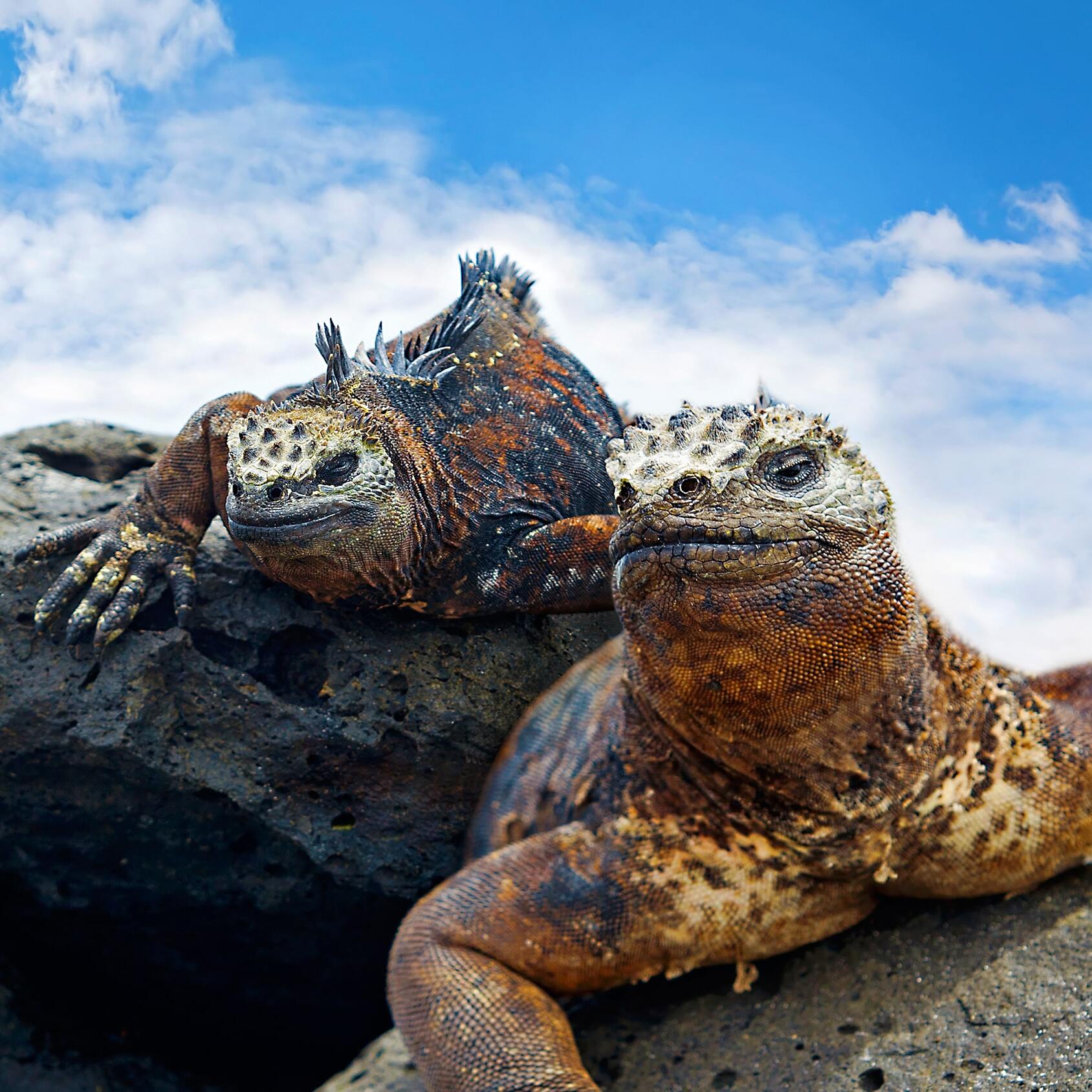 Quito and the Galapagos