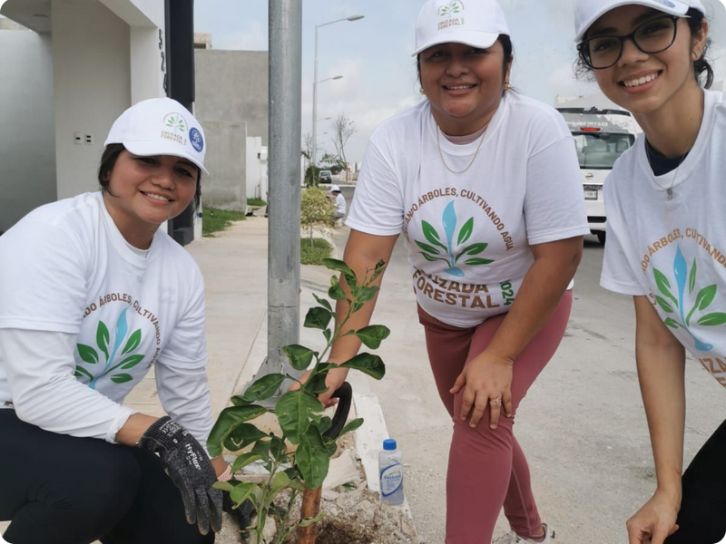 Three women planting a small tree on a sidewalk