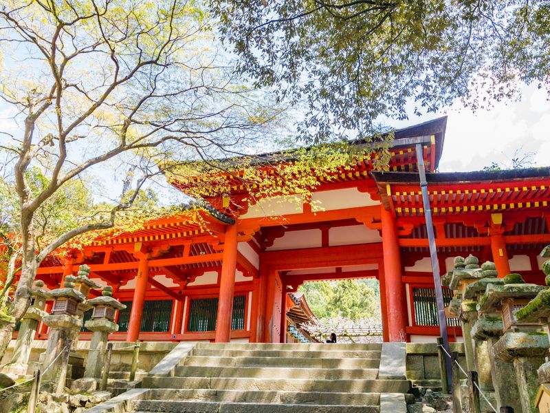 A red and white Japanese temple gate with stone lanterns and a person ascending the steps.