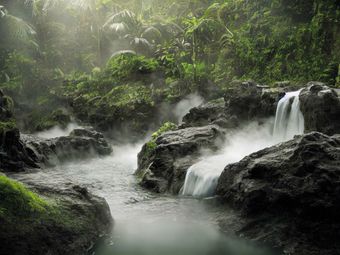 A beautiful waterfall cascades over moss-covered rocks in a tropical rainforest, surrounded by lush green vegetation.