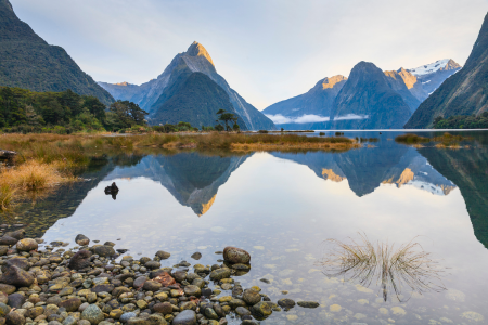 interesting-facts-about-new-zealand-26.png