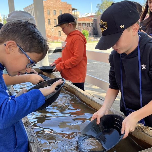 Children panning for gold in a wooden trough.