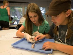 Two teenage girls dissecting a fish in a science classroom.