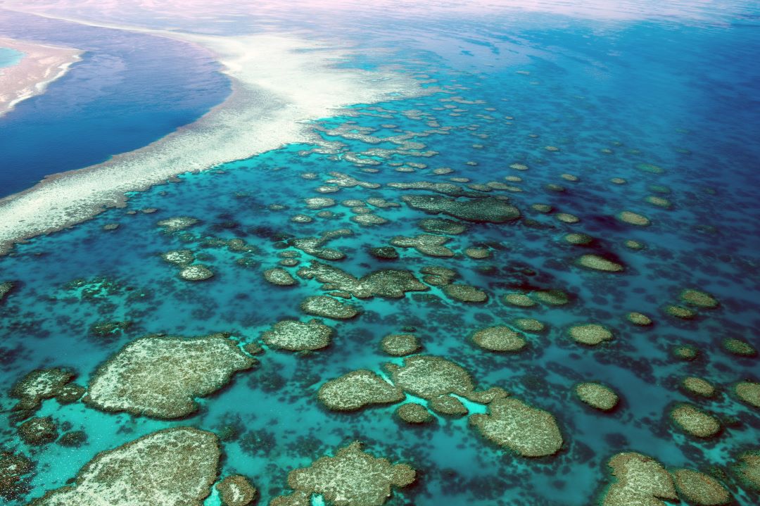 The-Great-Barrier-Reef.jpeg