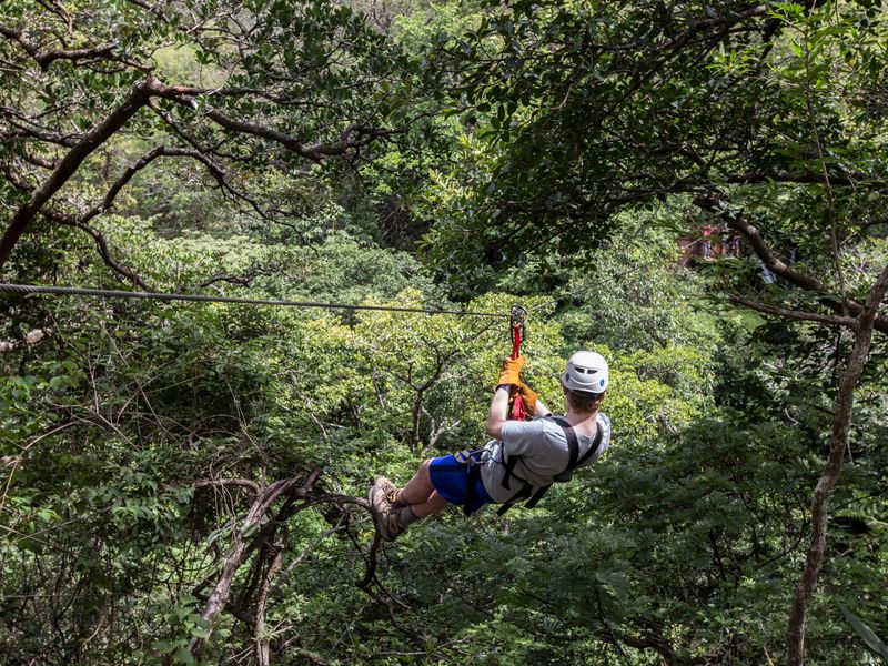 A person ziplining through a forest canopy.