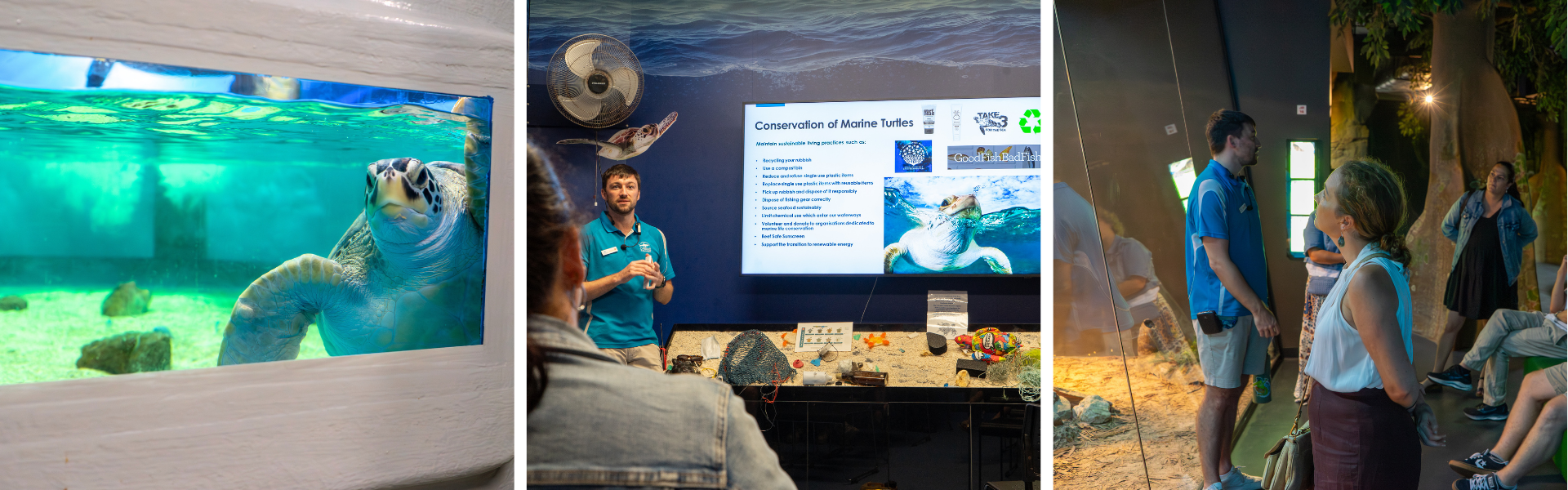 teacher-training-trip-recap-cairns-2026-2.png