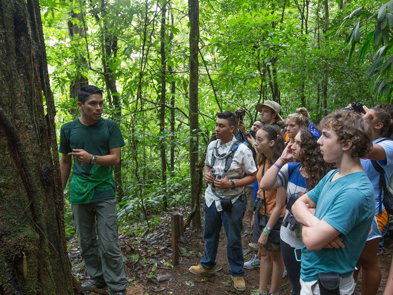 A group of students learning about the rainforest ecosystem from a tour guide.