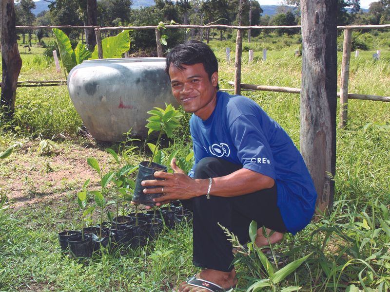 A Cambodian man cares for small citrus trees on a farm.