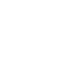 Global Network white 100x100.png