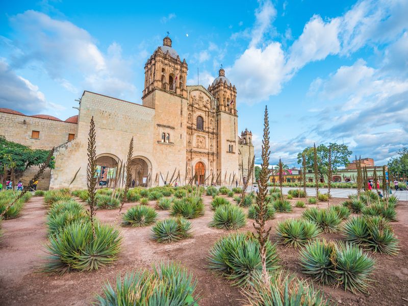 Santo Domingo Cultural Center in Oaxaca, Mexico with agave plants