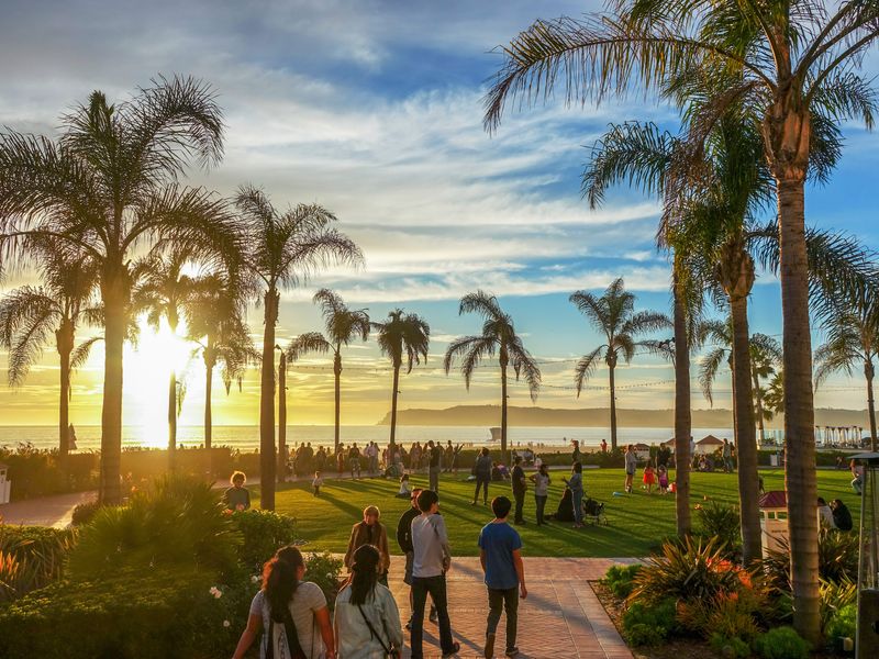 People enjoying a sunny day at the beach, with palm trees silhouetted against the setting sun.