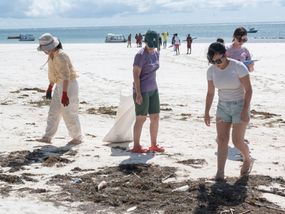 Volunteers cleaning up debris from a white sandy beach, contributing to ocean conservation.