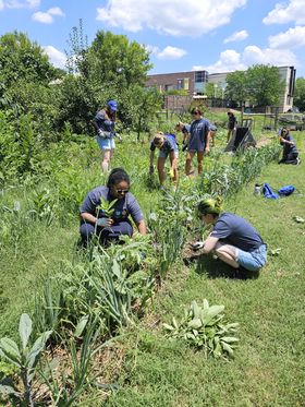 Group of young adult volunteers working in a community garden.