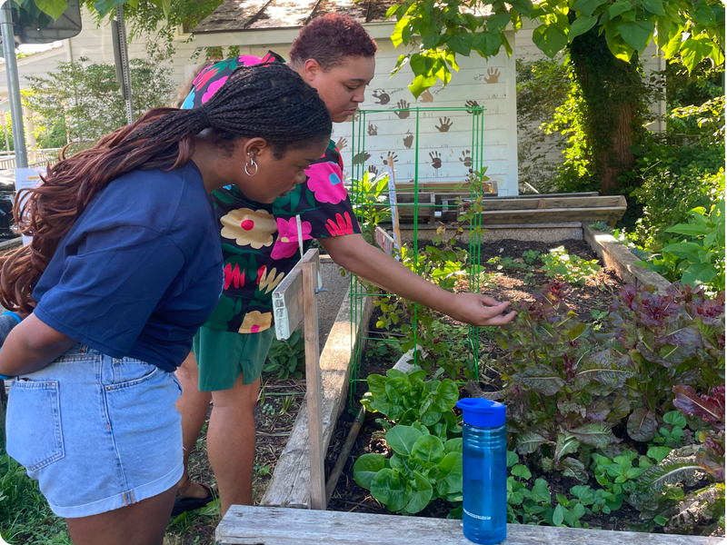 Two young adults examine plants in a raised garden bed.