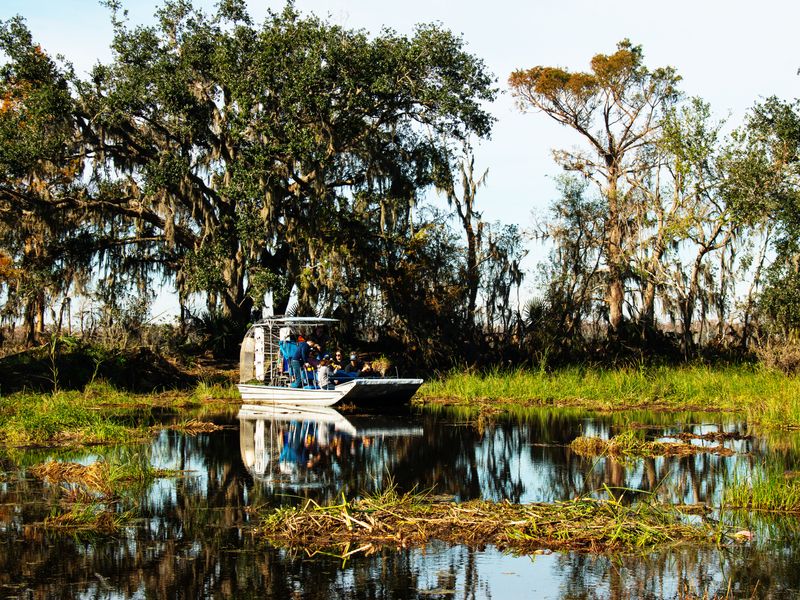 A group of people riding on an airboat in a swamp.