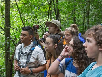 A group of students learning about the rainforest ecosystem from a tour guide.