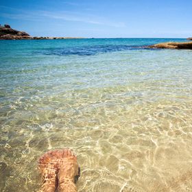 Great Barrier Reef and Beyond