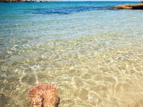 Great Barrier Reef and Beyond