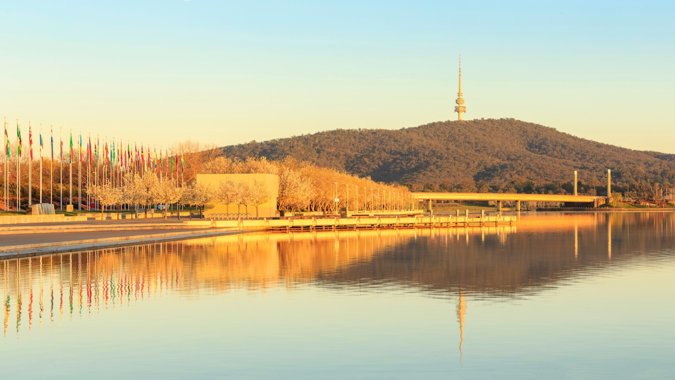 from-the-classroom-to-canberra-1.png