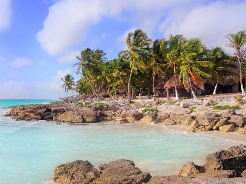 Tropical beach with palm trees and rocky shores in Mexico