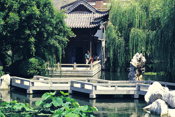 NSW-chinese-garden-of-friendship.png